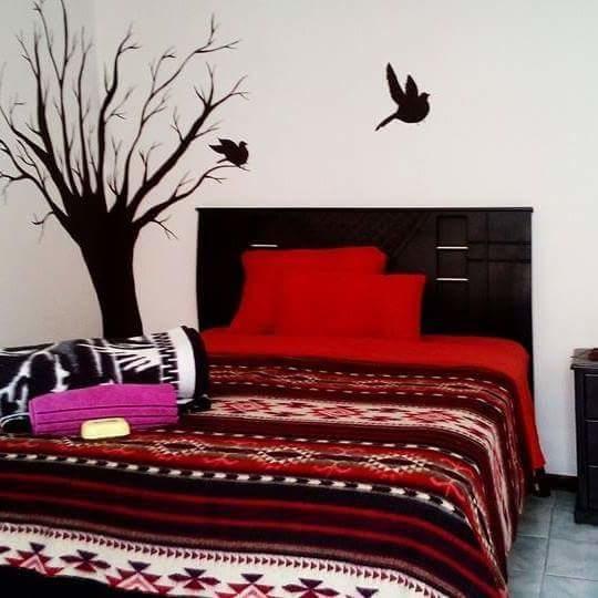 The Backpacker Hostal Ibarra Exterior photo