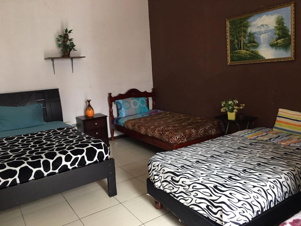 The Backpacker Hostal Ibarra Exterior photo