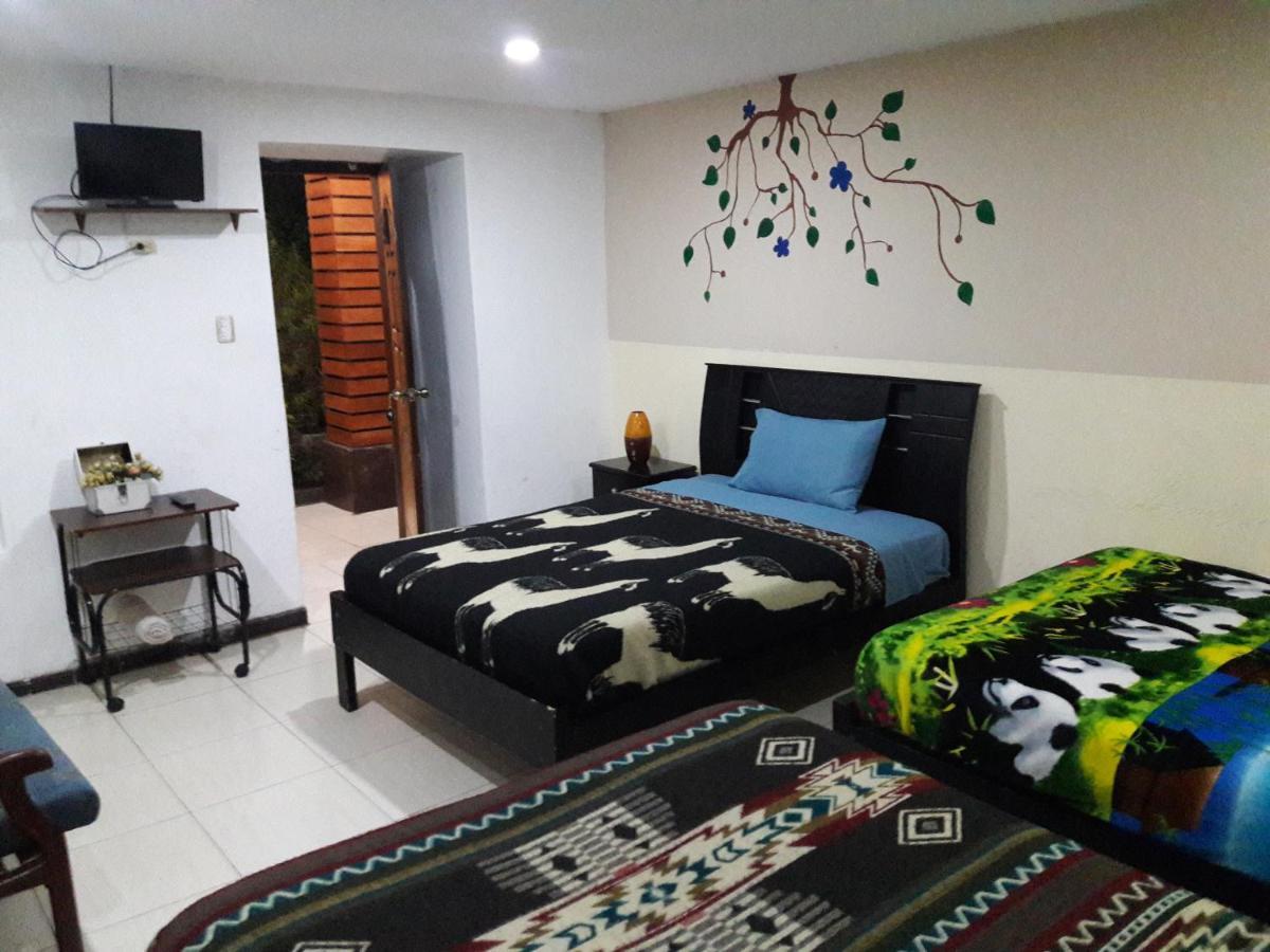 The Backpacker Hostal Ibarra Exterior photo